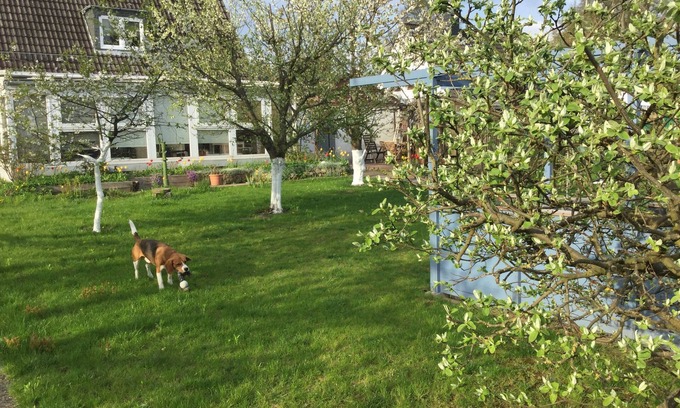 Lubeck City Centre Apartment | "lodge one"