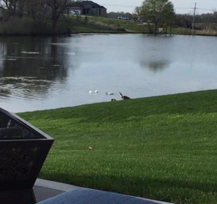 I-435 West KC-KS Bed & Breakfast | Lofthouse