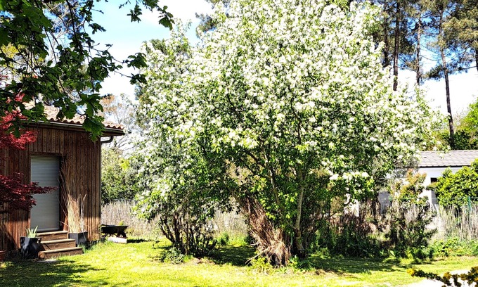 Pessac Apartment | Logement Bucolique Chez Didier et Fernand
