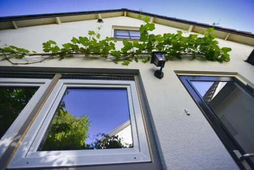 Utrechtse Heuvelrug Bed & Breakfast | Logies op Dreef