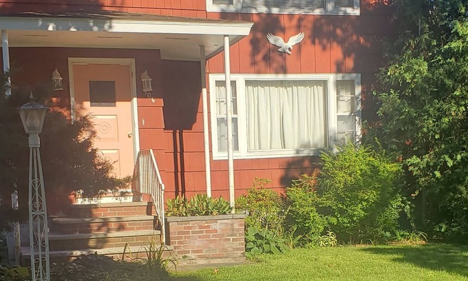 East Syracuse Apartment | Lovely 2 Bedroom Upper Apartment. Centrally located. Only min to RT 690 and 81.