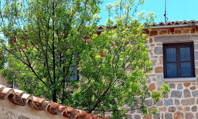 El Fresno House | Lovely country house in Avila