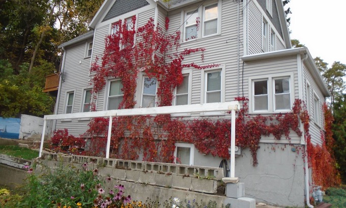 Port Washington House | Lower flat steps from the lake and downtown