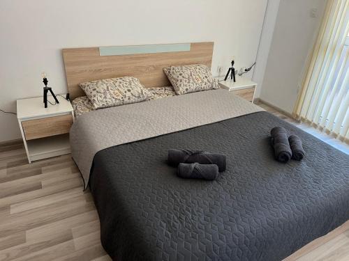 Pazardzhik Province Apartment | Lucky7Lux1