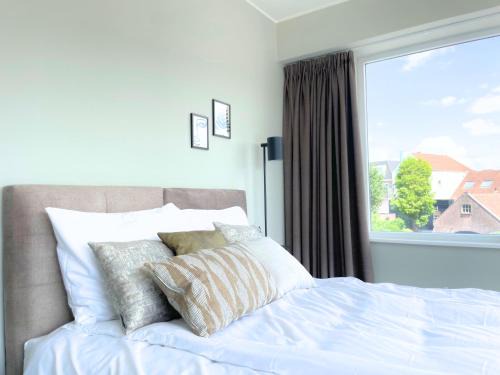Raamsdonksveer Apartment | Lux Room, Private Bathroom Shared Kitchen