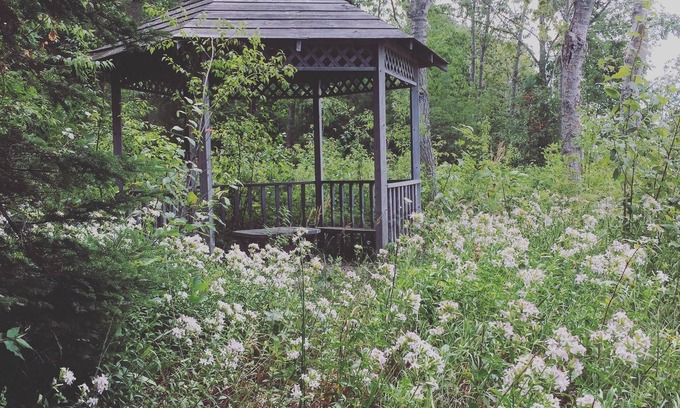 Tiny House | Lux Waterfront Beach house/Cottage