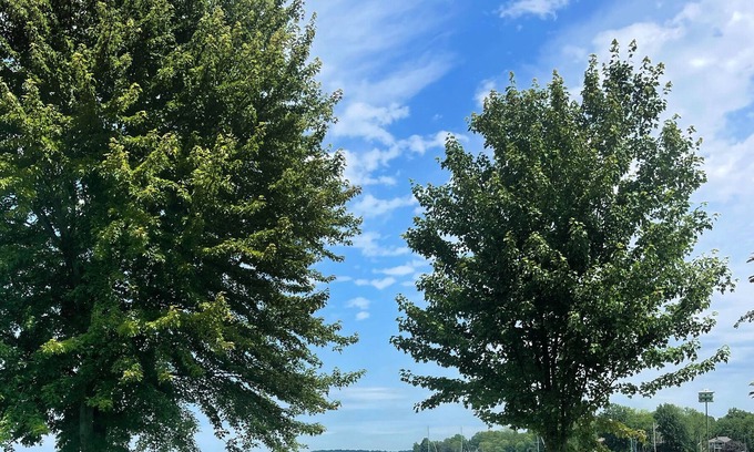 Orillia Cottage | Luxurious all season Lake Couchiching waterfront cottage