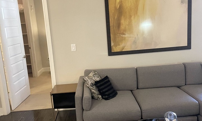 Greenway Plaza-Upper Kirby Apartment | Luxurious Galleria condo 2 bedrom