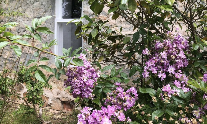 Crafers West Cottage | LUXURIOUS Gorgeous Cottage - In the Heart of Adelaide Hills
