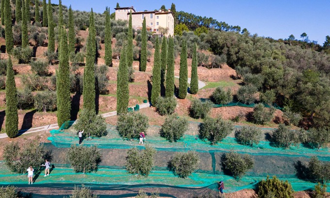 Cascine-La Croce Villa | Luxury 6-bed Tuscan villa near Lucca and Florence w/saltwater pool