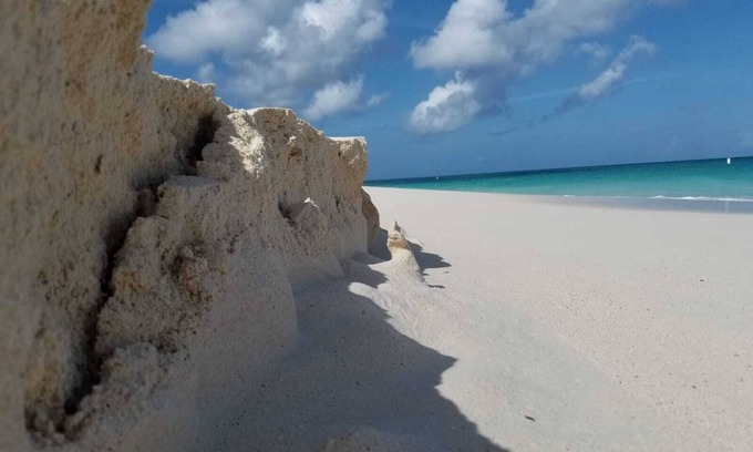 Aruba Apartment | Luxury Eagle Beach Apart Ground Floor with Direct Pool Access one step Beach