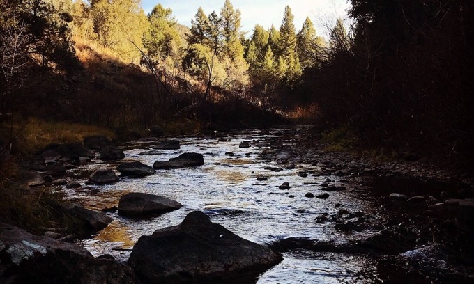 Ririe House | Luxury Family Cabin - Swan Valley ID