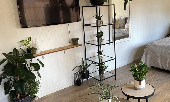 Huizen Apartment | Luxury guesthouse with sauna next to nature reserve heather or moorland