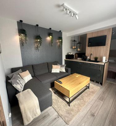 Nord-Est Apartment | Luxury Studio