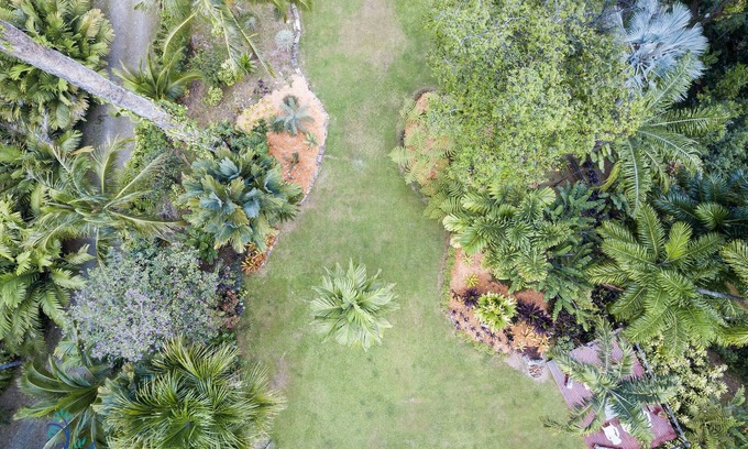 Punta Uva Villa | Luxury Villa Macaw Pool House with Ocean Views