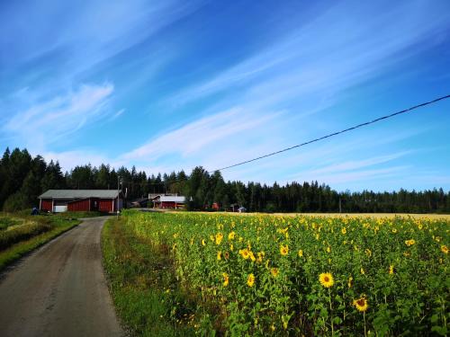 Peraseinajoki House | Maatilamatkailu Ilomäki