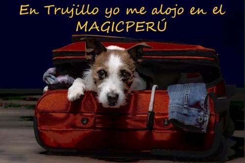 Trujillo House | MAGICPERU PET FRiENDLY
