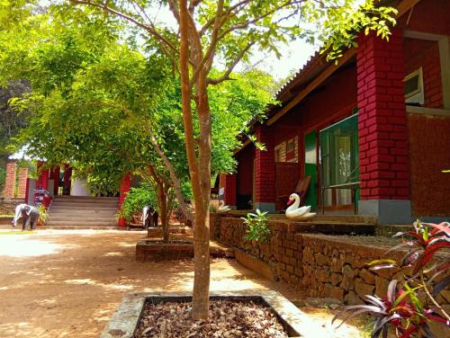 Minneriya Bed & Breakfast | Mahi's Place