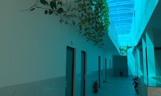Tay Ninh Hotel | Mai Tuan Chanh Mon A Hotel
