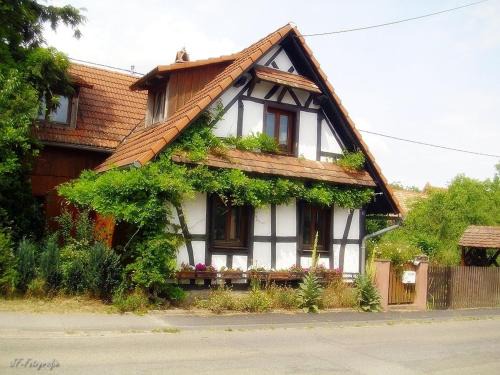Betschdorf Apartment | Maison Fleurie
