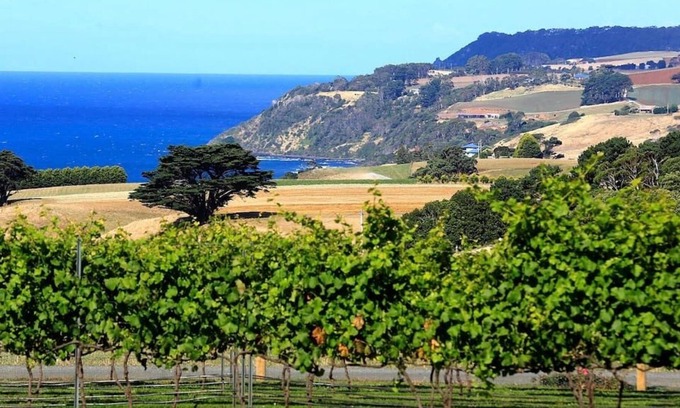 Boat Harbour Cottage | Mallavale Farm Boat Harbour - stunning ocean views
