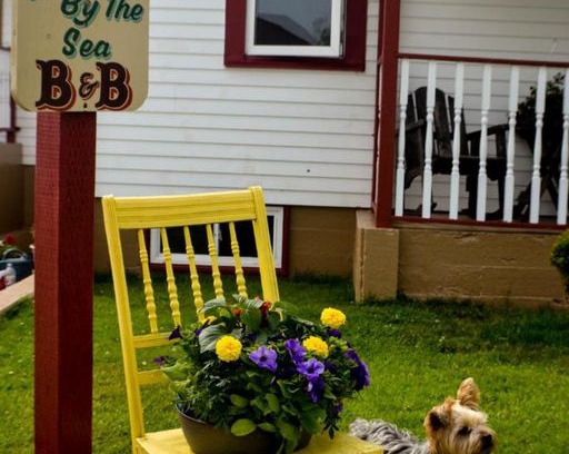 Clark's Harbour Bed & Breakfast | Mama's By The Sea B&B - Mama's By The Sea B&B - Queen Room with Shared Bathroom