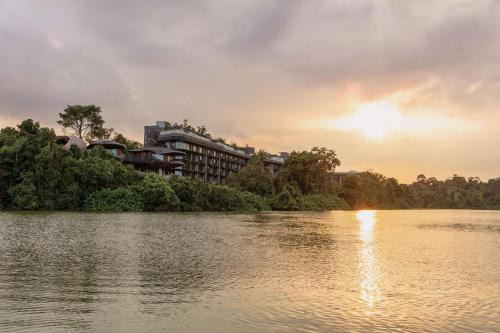 Central Water Catchment Hotel | Mandai Rainforest Resort by Banyan Tree
