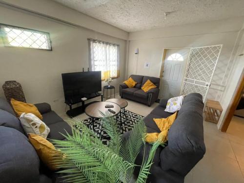Arima House | Mango Vert House