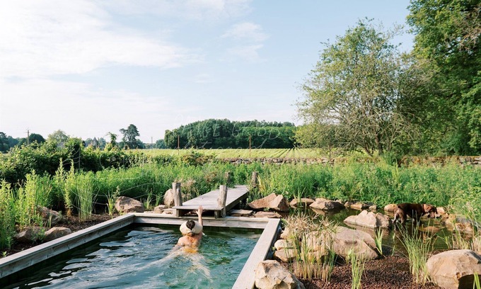 Blaison-Gohier Bed & Breakfast | Manoir de Jouralem