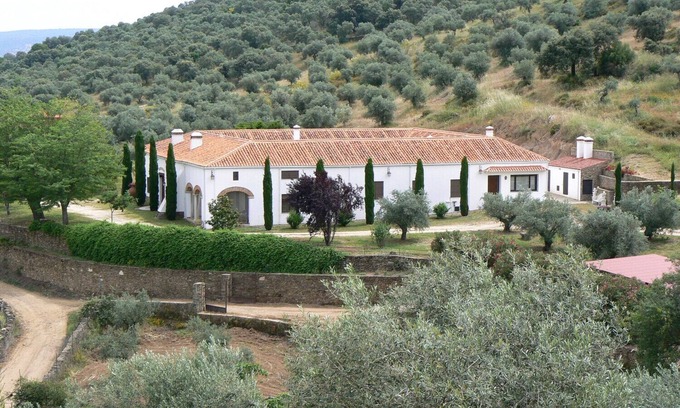 Pago de San Clemente Cottage | Manor house among cypresses and olive trees