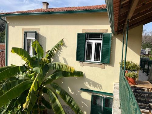 Castanheira de Pera House | Manor Meeder
