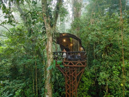 Chilamate Cabin | Maquenque Ecolodge