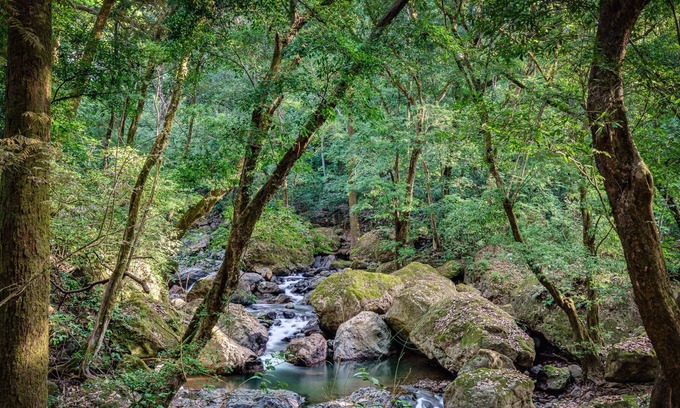San Mateo House | Maracuya. Five Luxury Villas Alongside the Machuca River Found in La Ecovilla