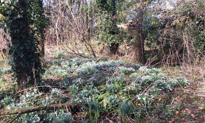 Ebbesborne Wake Other | Marshwood Farm B&B