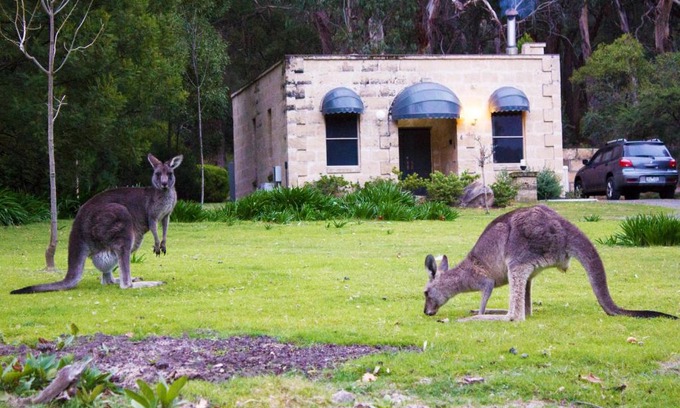 Halls Gap Resort | Marwood Villas