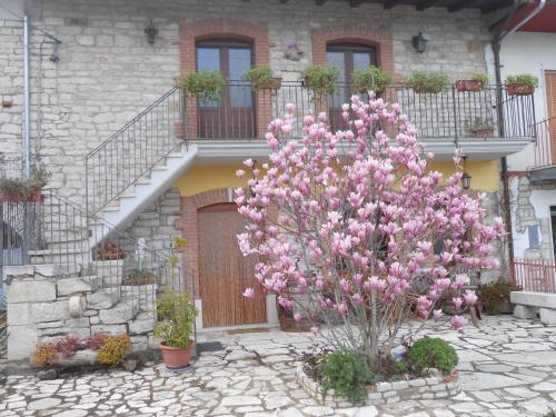 Pietrelcina Bed & Breakfast | Masseria Rosella - Longhi