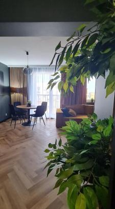 Plock Apartment | Mazovia Gold Apartament