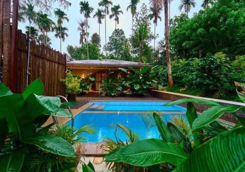 Kenichira Villa | Mcafe Private Pool Plantations by Greenescapes