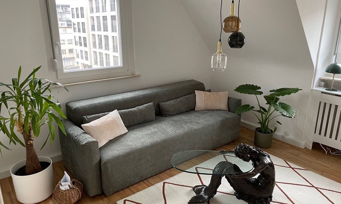 Ulm Apartment | Meerjungfrau: stylish 2-room apartment, central, kitchen, bathroom, living room/bedroom