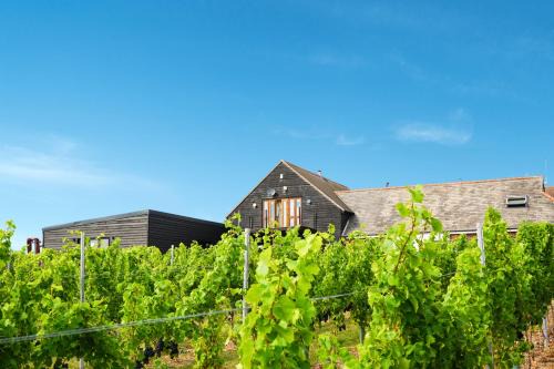 Layer Marney Resort | Mersea Island Vineyard