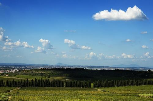 Frascati House | Merumalia Wine Resort