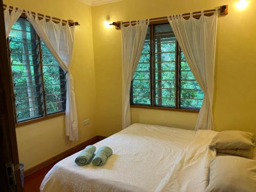 Lushoto Cabin | Milemeleni Guesthouse