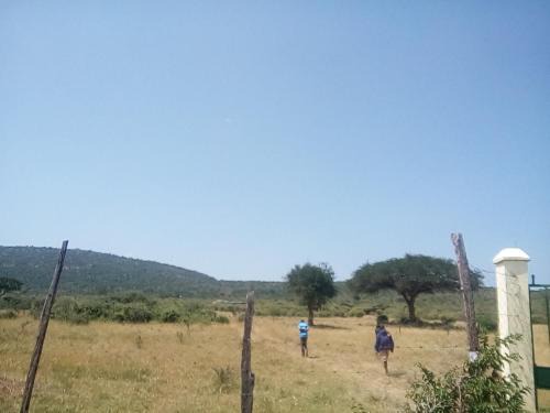Ololaimutiek Bed & Breakfast | Miliki Maasai Mara