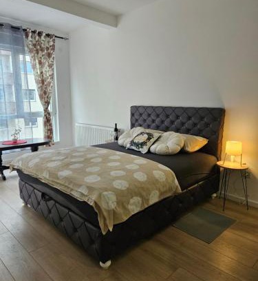 Mladenovac Apartment | Miss Lux