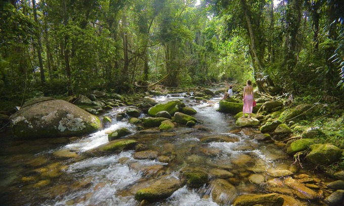Bellenden Ker House | Misty Mountains Rainforest Retreat