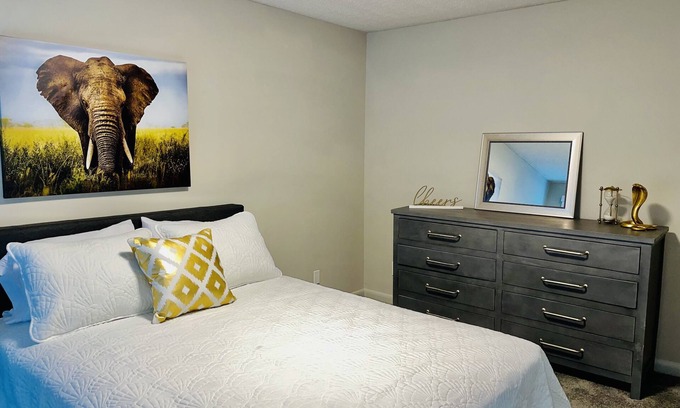 Candler-McAfee Apartment | Modern, Chic, and Stylish 2 Bedrooms 2 Bathrooms
