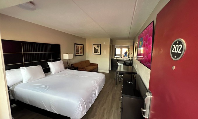 Broadmoor Apartment | Modern Studio with King Bed and Queen Sofa Sleeper In Central Baton Rouge