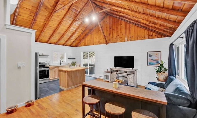 Pocohanna Cabin Colony House | Modern Wilderness Cabin | BBQ - Firepit - Hot Tub