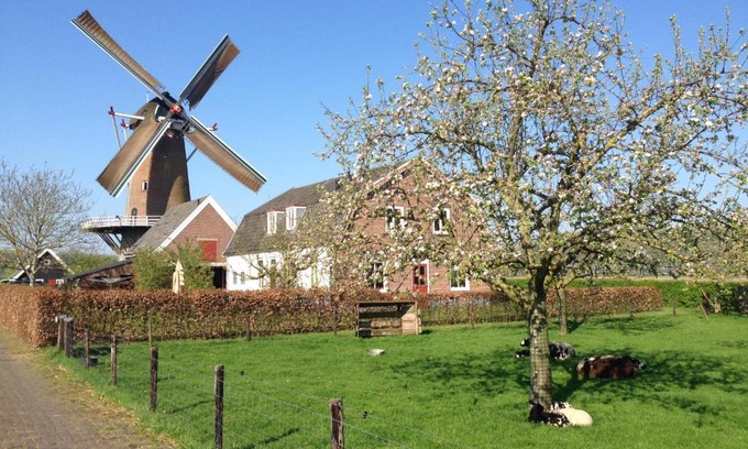 Werkhoven House | Molen Kapschuur