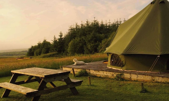 Bethania Cabin | Moleshill Retreat Wild Spa and Glamping space